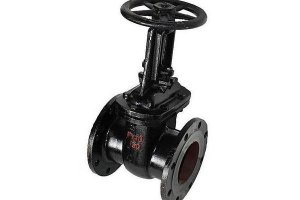 Задвижка чугунная 30ч6бр Ду100 Ру16