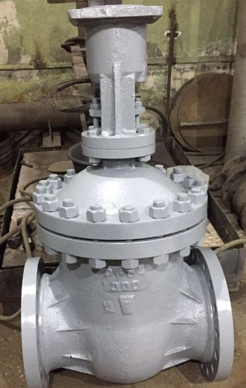Засувка 30с975нж