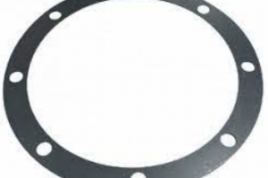 Прокладка 168.20.08